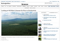 web news 1