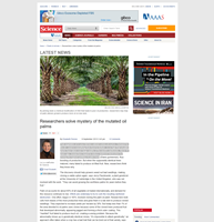web news 3