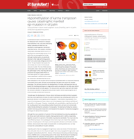 web news 1